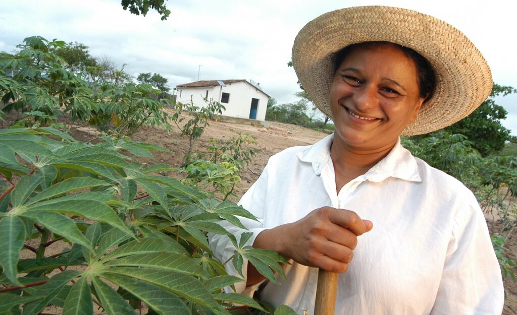 Passo a passo para prestar ótima assistência técnica rural